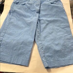 Light Blue Embroidered Shorts